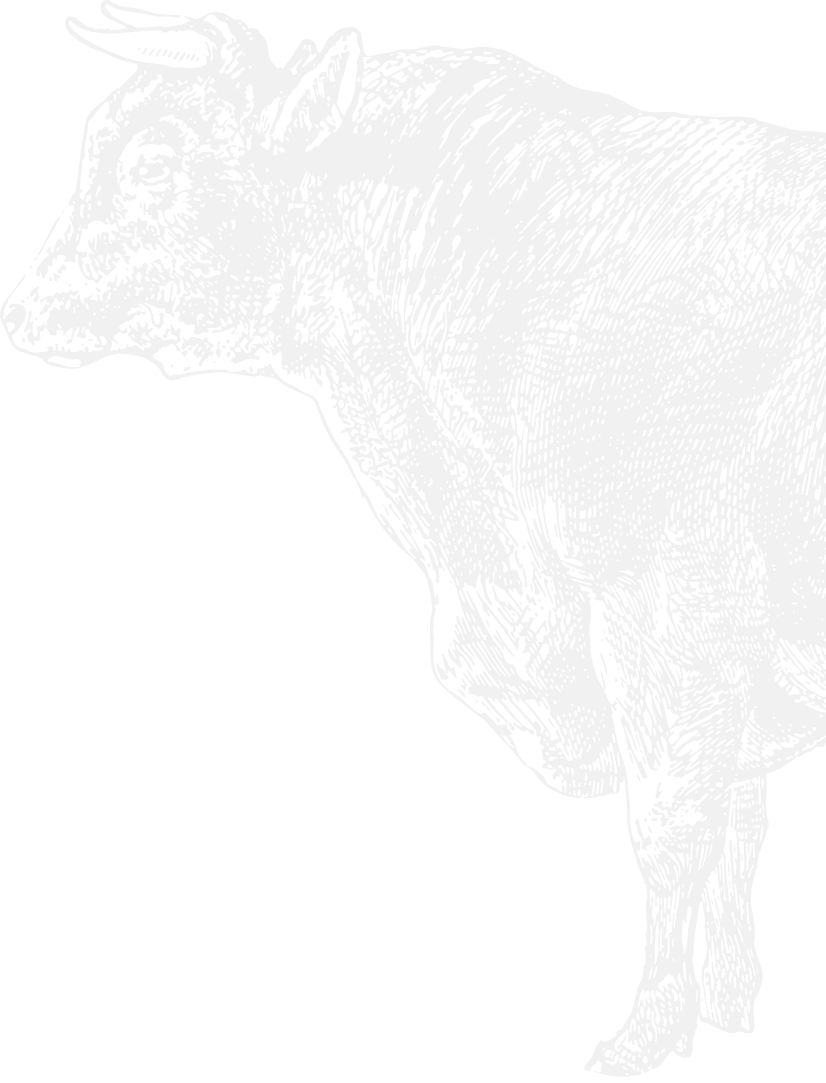 Optimal condition bull line drawing