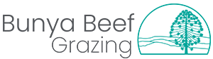 Bunya Beef Grazing Logo - horizontal